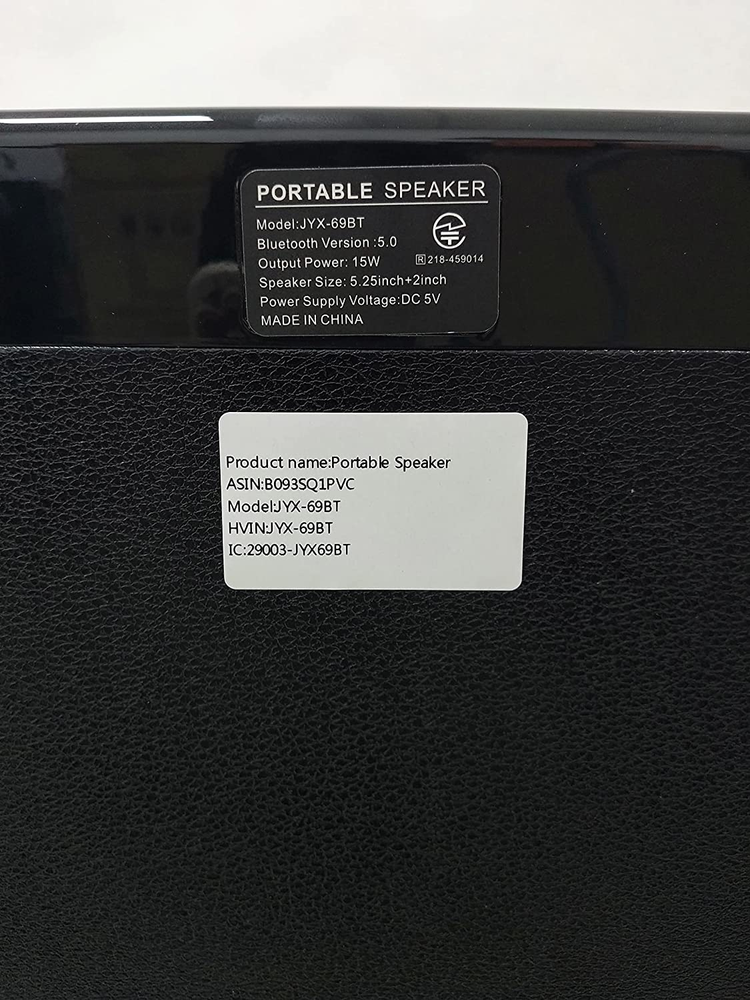 Portable Bluetooth Karaoke Machine Speaker PA System With 2 Wireless Microphones