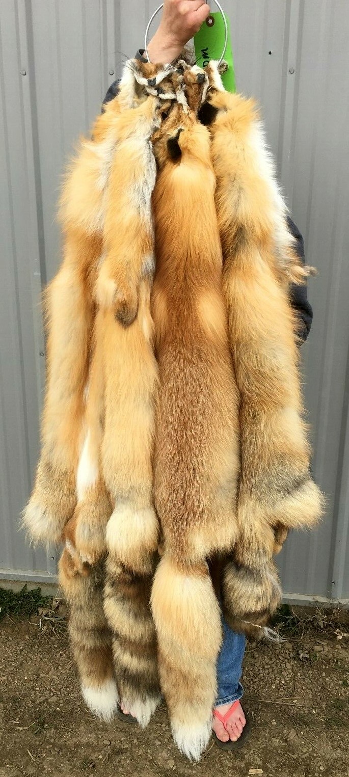 Tanned Red Fox Winter “Heavy Fur” Western XL, some Imperfections (rfwhimp)