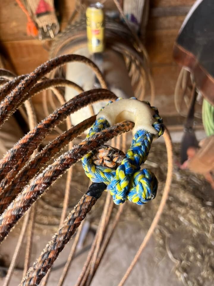 TURQUOISE n BLACK 10 Plait Pryor ParaCord Hondo w/ Bull Rawhide Burner Buckaroo