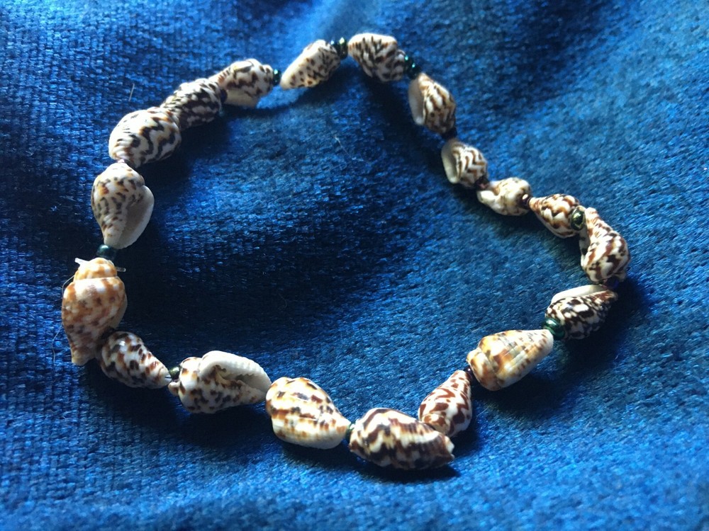 Unsigned Designer Handcrafted Artisan Tiny Seashell & Seed Bead Stretch Bracelet