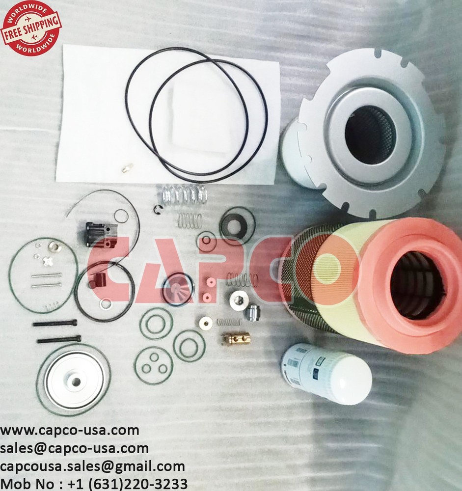 PREVENTIVE MAINTENANE KIT 3001160219