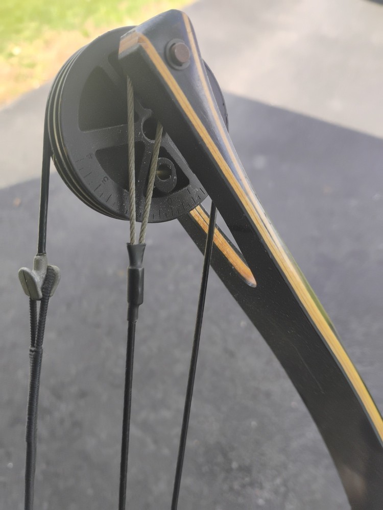 Browning Bantam Compound Bow