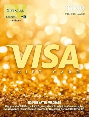 Visa $100 Gift Card (Free Shipping)