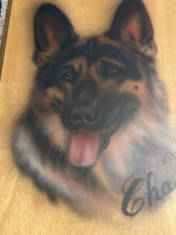 German Shepherds Lot