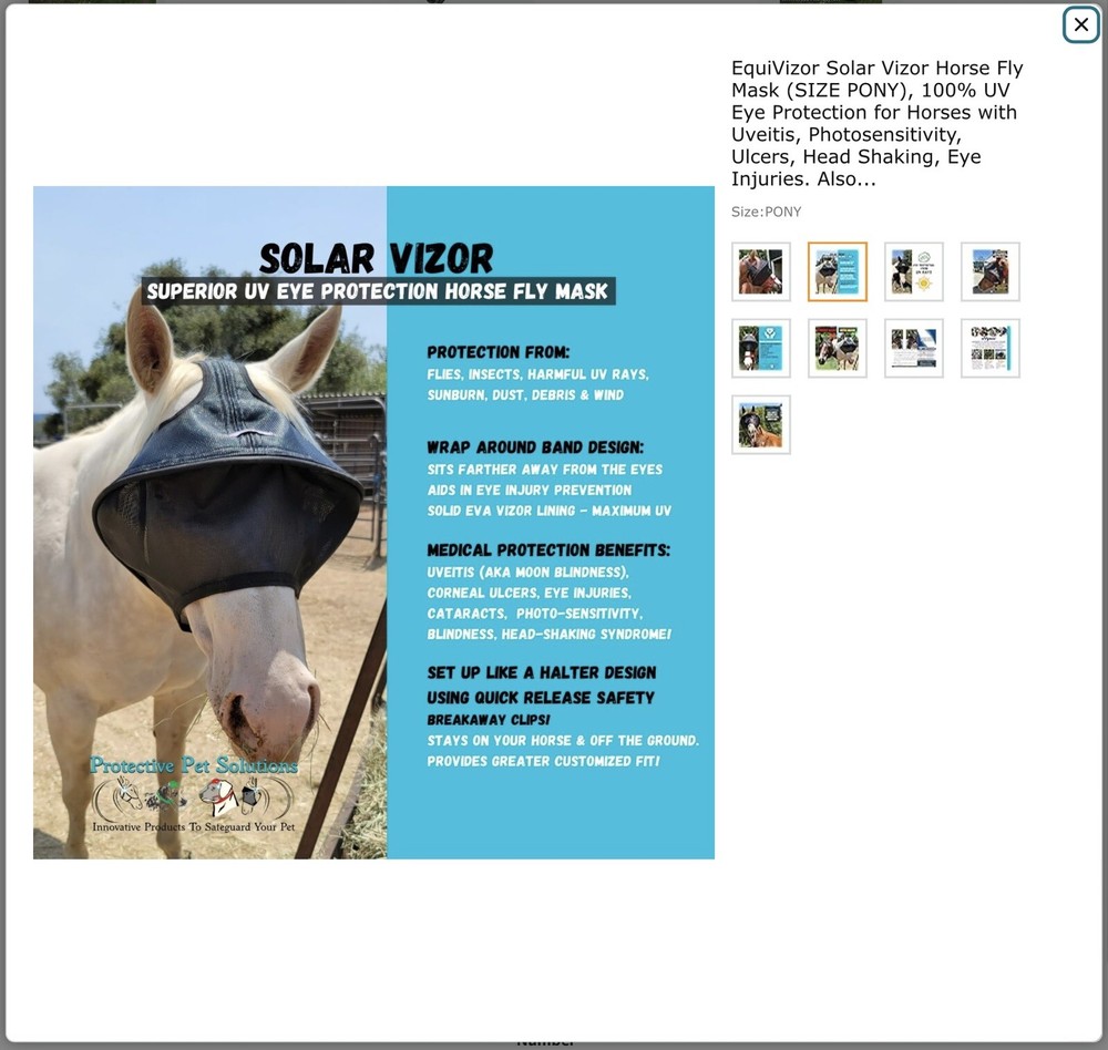 horse care grooming