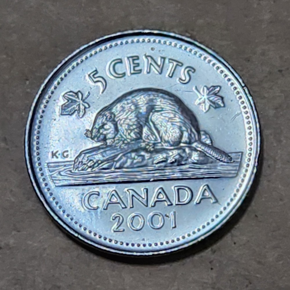 CANADA 🇨🇦 FIVE (5) CENTS COIN 2001 (QUEEN ELIZABETH II)