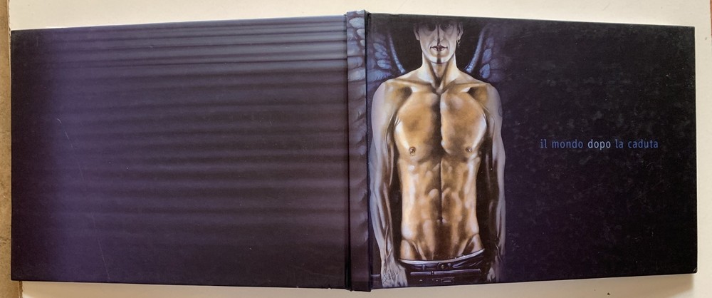 MASSIMO LIBARDI THE WORLD AFTER THE FALL 2008