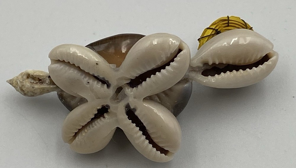 Sea Shell Turtle Small Figurine Wearing Hat & Glasses