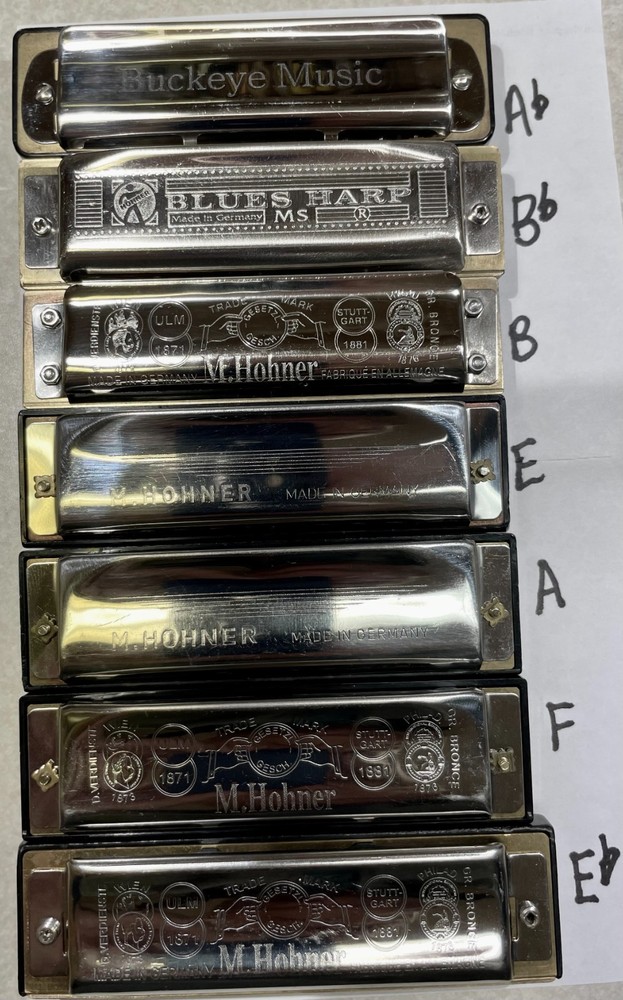 Harmonica Hohner Paddy Richter tuned, various keys