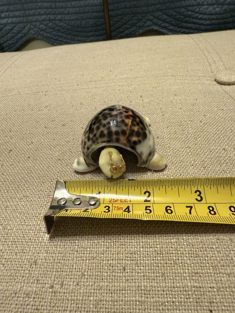 Hand Made Bobble Head Cowrie Shell Turtle With Glasses