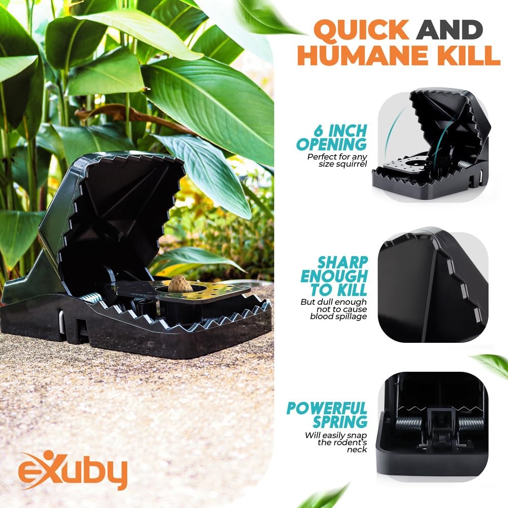 Squirrel Trap (2 Pack) - Consistent & Humane Kill Every Time with no Failures...