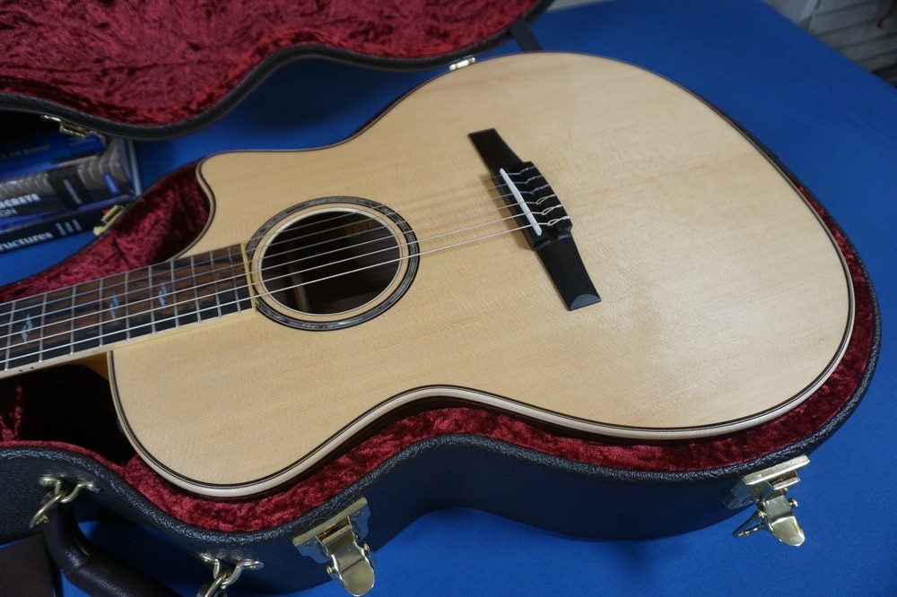 Taylor 814ce-N - Made in 2022