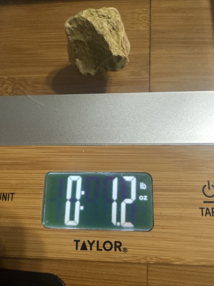 Serpentinite, a type of Metamorphic Rock