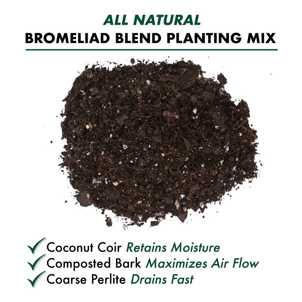 Bromeliad Blend 8 Quart