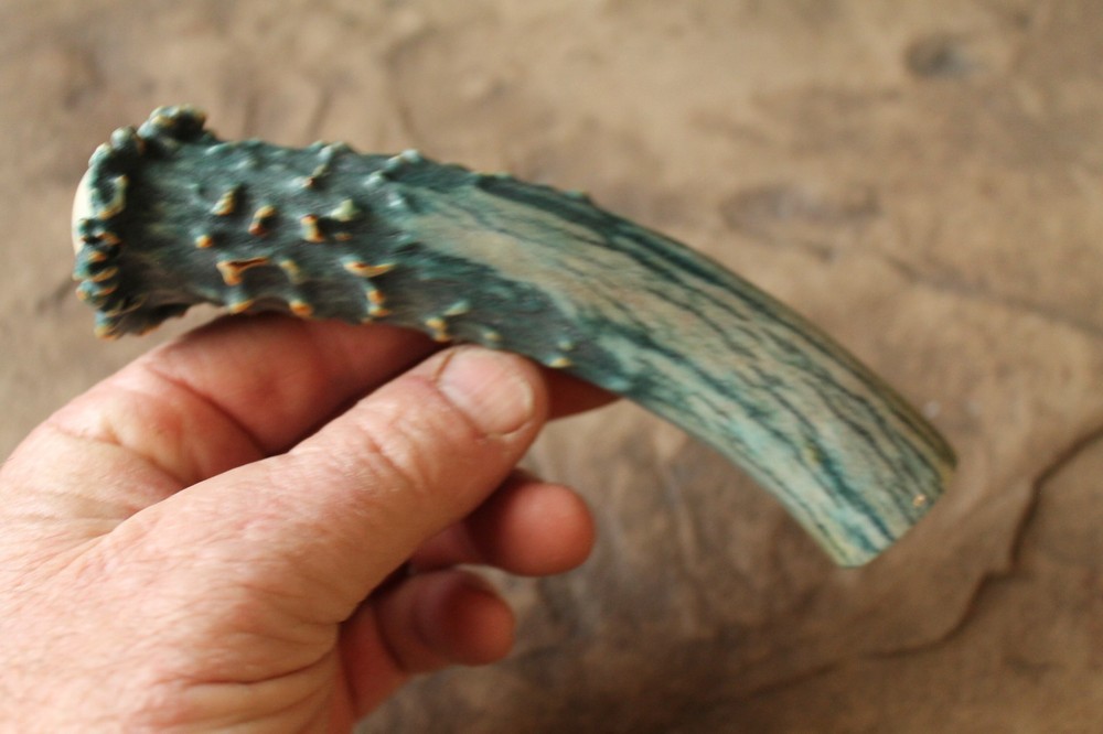 ~Deer antler knife handle ~ Flintknapping supply tool