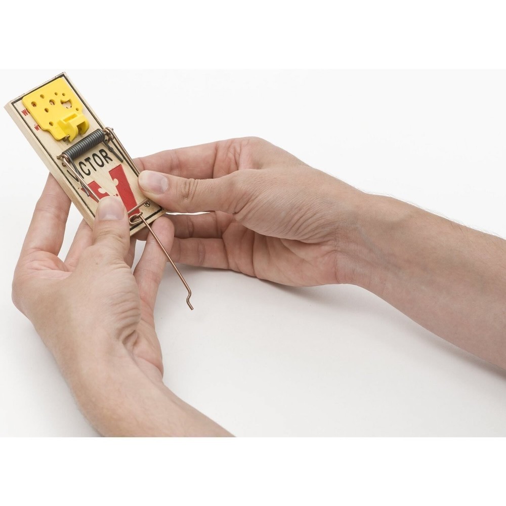 Easy Set Mouse Trap , - 4 Count