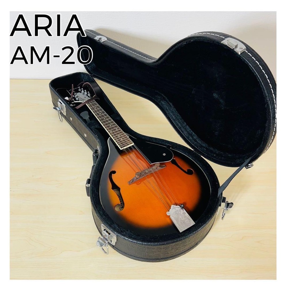 ARIA AM-20 Mandolin 8 string with hard case