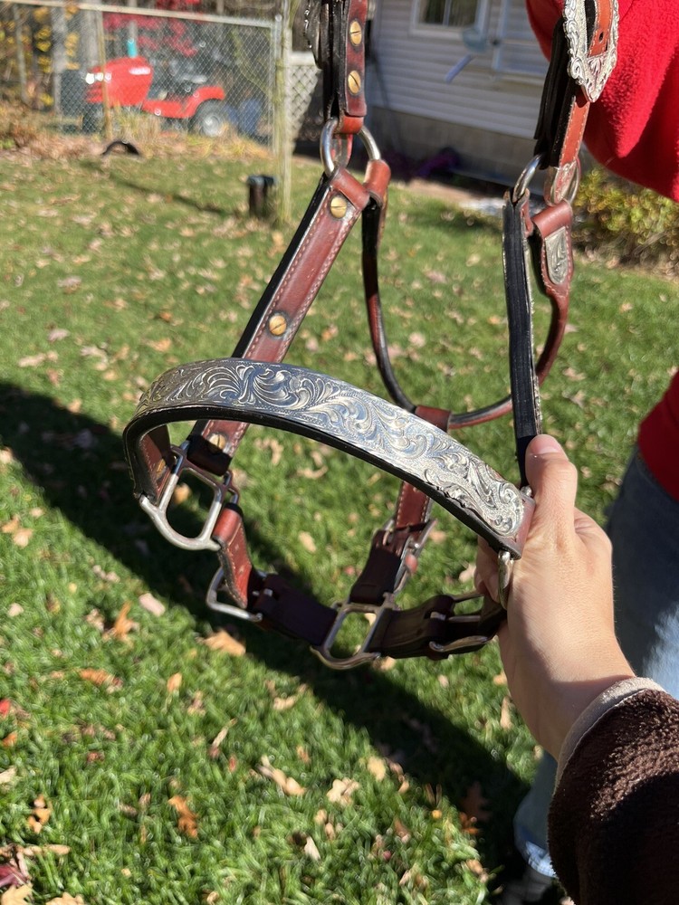 Yearling Show Halter