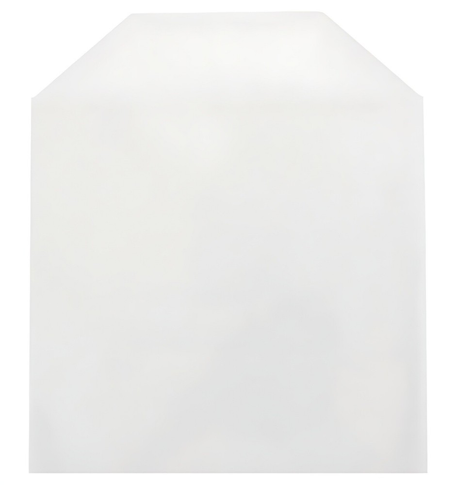 CPP Clear Plastic Sleeve with Flap (No Stitches) Lot