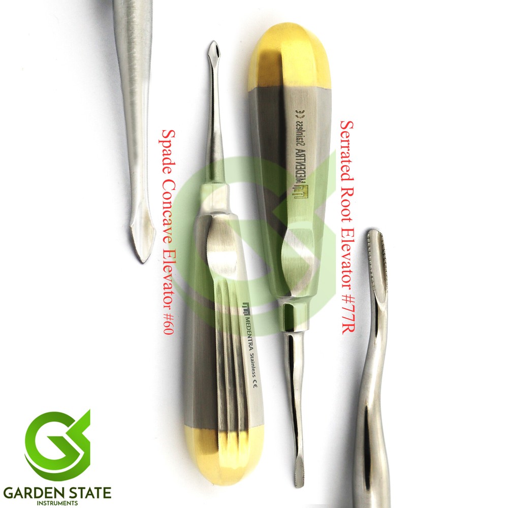 Dental Extraction Root Elevator #77R Tooth Spade Concave #60 Elevators Gold/H