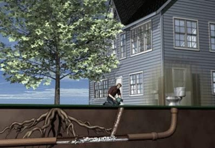 Single Use 2LB Foaming Root Control - Essential for Effective Sewer Maintenance
