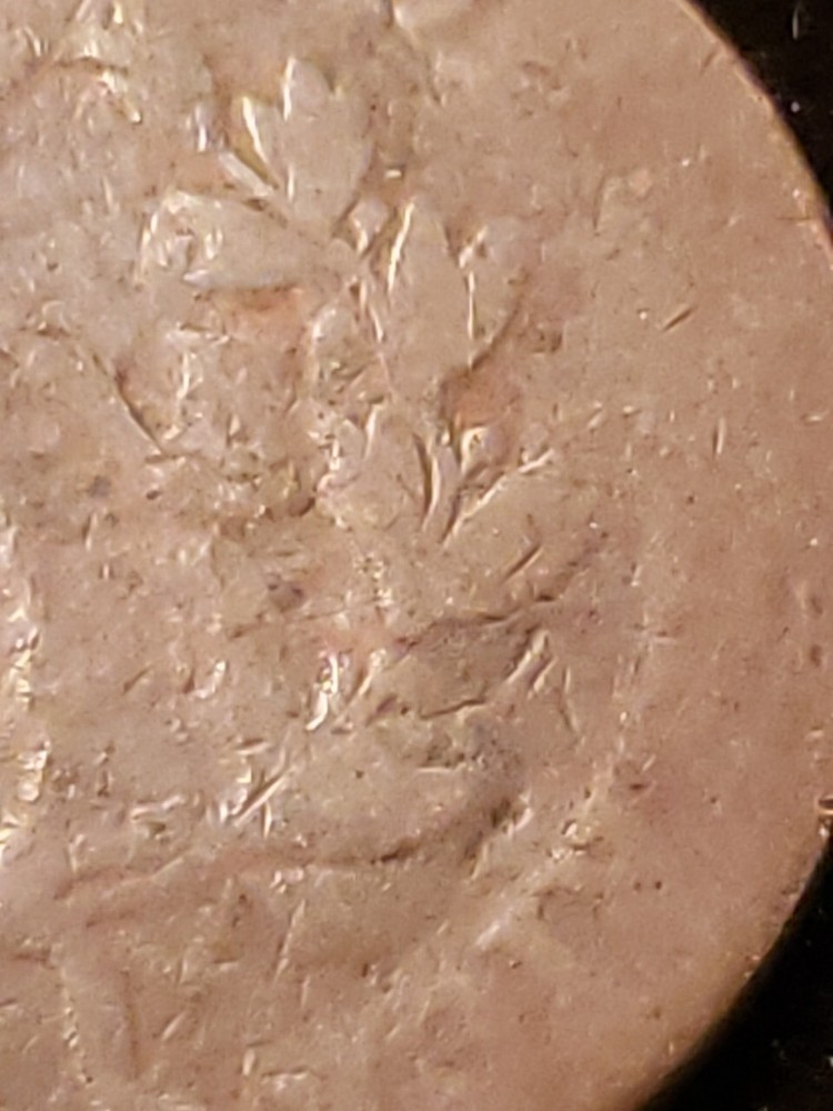 1801 Large cent S-223. Please Read The Description. (RHV-427)