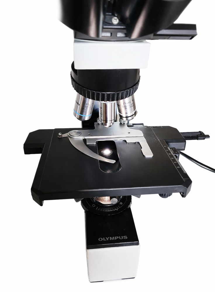 Olympus BX40 Upright Laboratory Microscope with Digital Camera