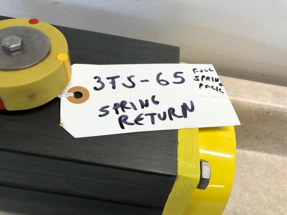 CompacTorque 3TS-65 Spring Return 10BAR-142 PSI Pneumatic Actuator