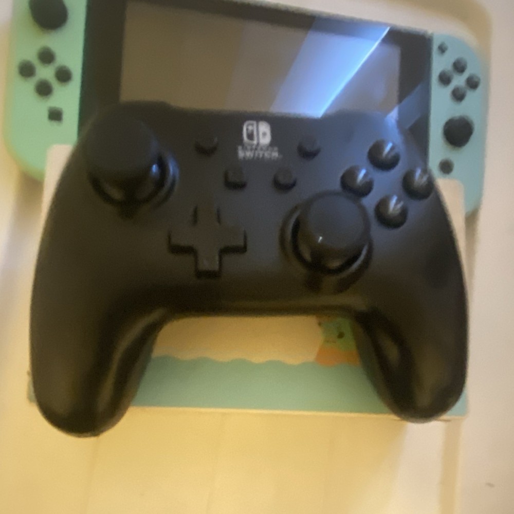 Nintendo Switch Animal Crossing Edition Console Bundle with Dock & Controllers