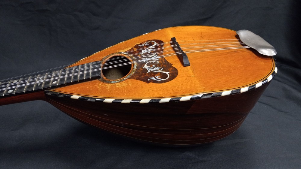 Marshall Field & Co Luxton Chicago Mandolin (READ DESCRIPTION)