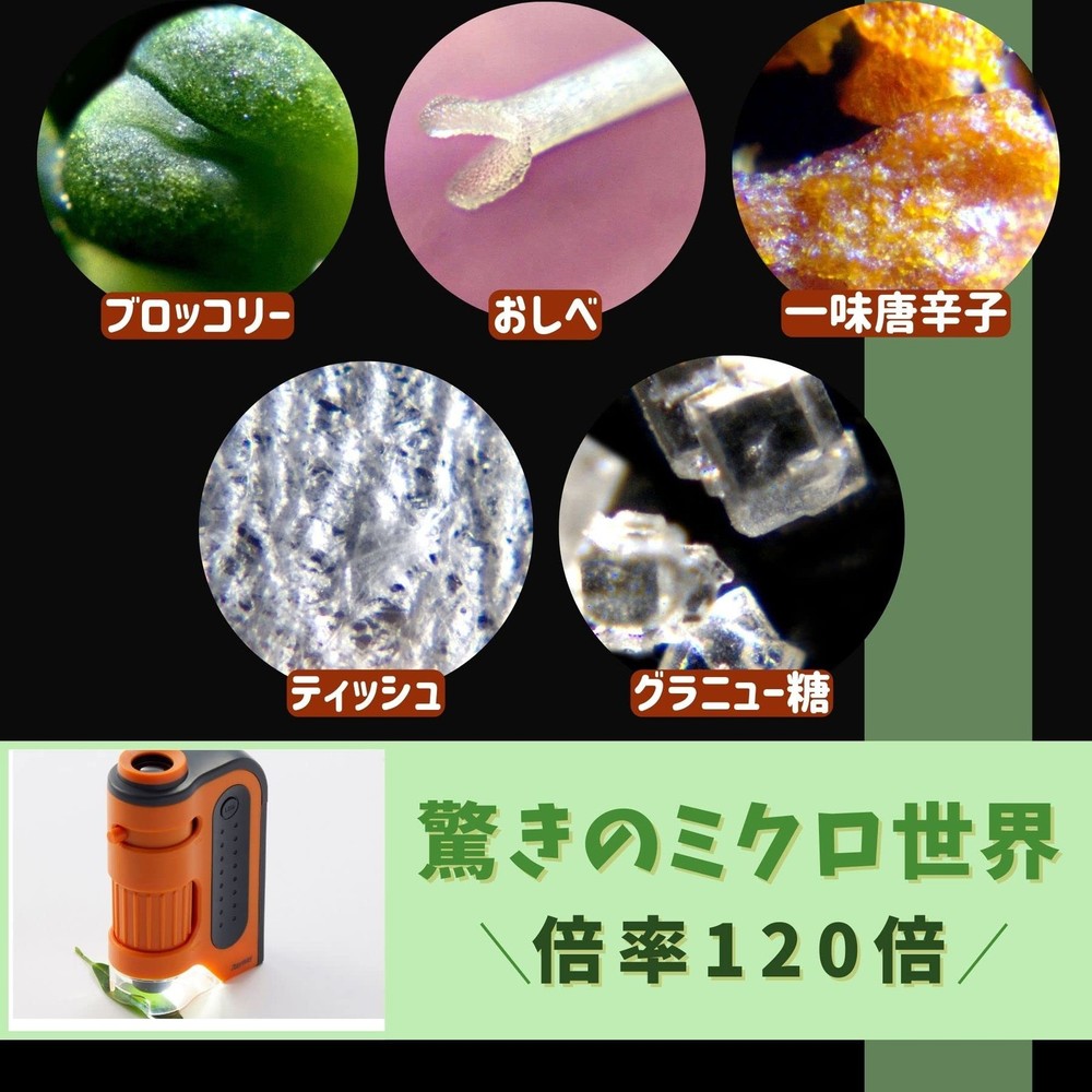 Raymay Fujii Handy Microscope ZOOM Black RXT1143B