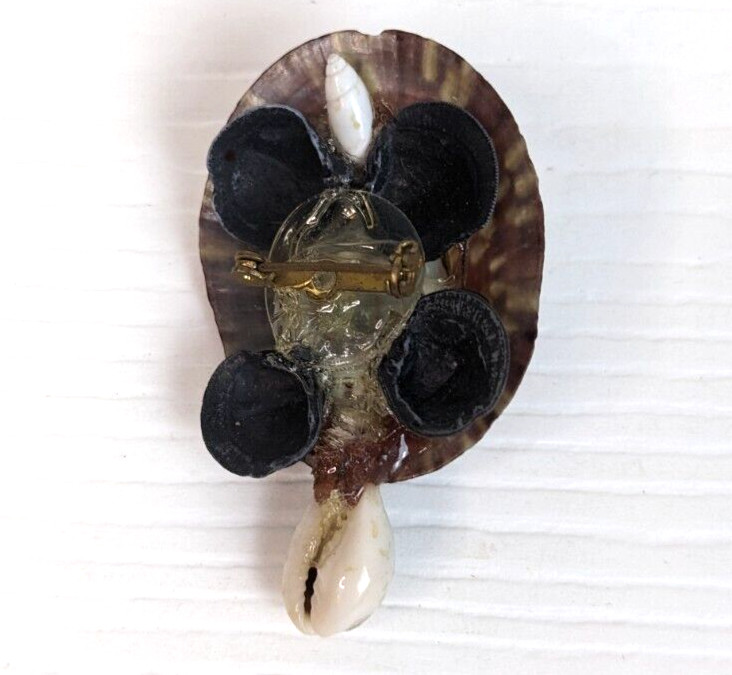 turtle pin brooch beach seashells