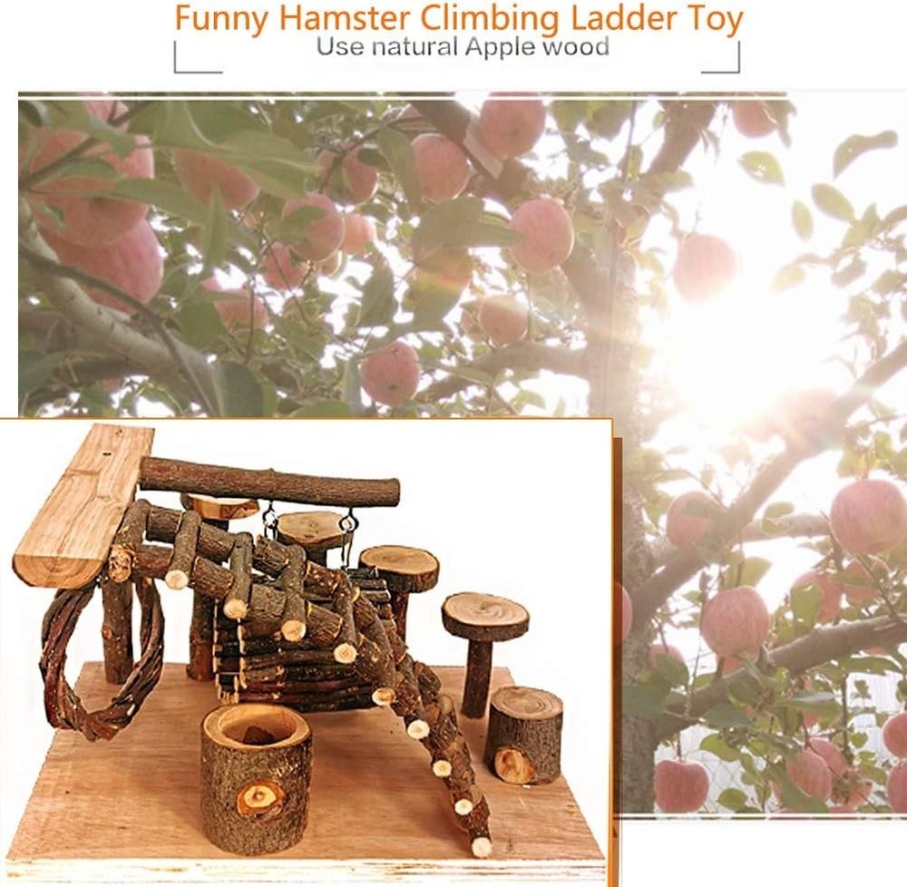 Hamster Playground Platform - Climbing & Jumping Set