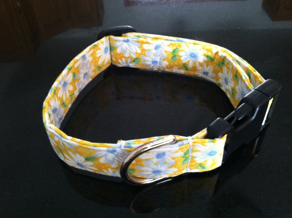 Yellow with White Daisies Dog Collar & Leash