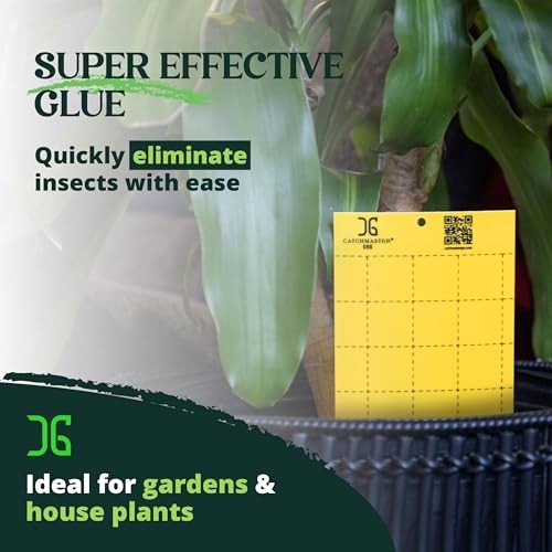 Catchmaster Large Double Sided Sticky Traps 50PK, Adhesive Bug & Fruit Fly