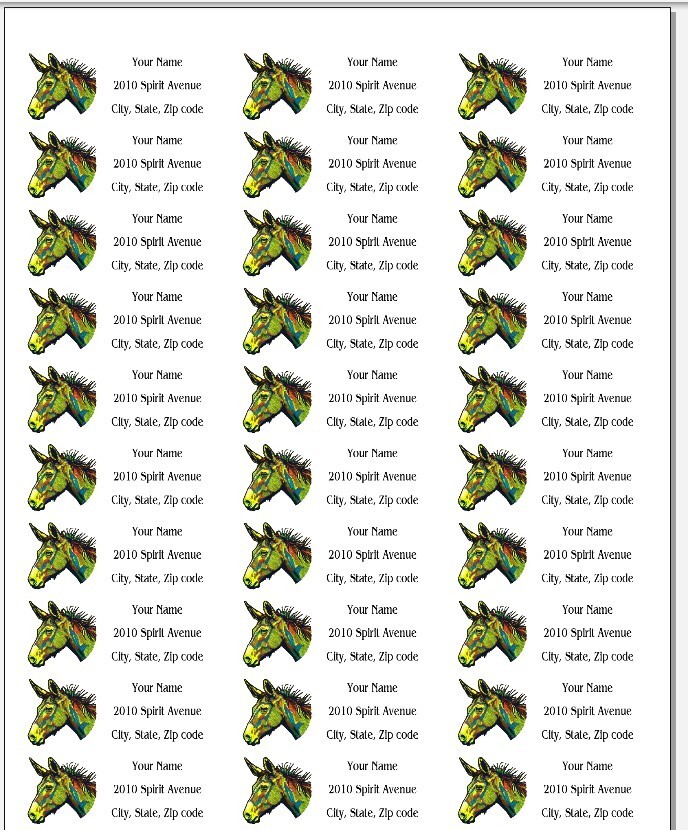 150 Donkey Trippy Psychedelic Mailing Return Address Labels Personalized