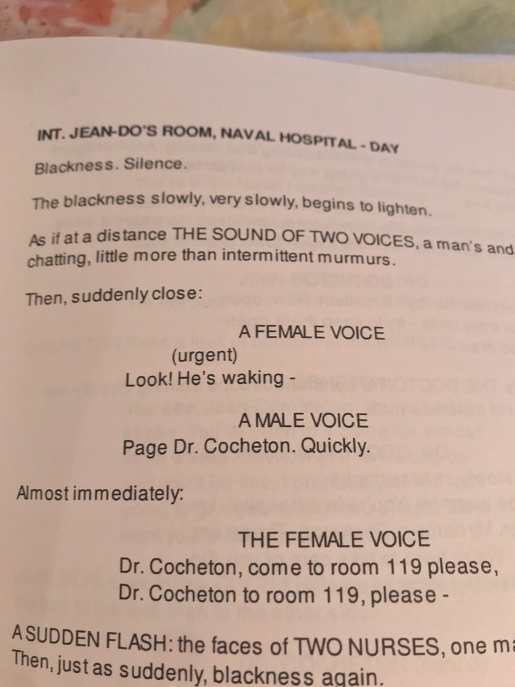 The Diving Bell and The Butterfly screenplay/ script