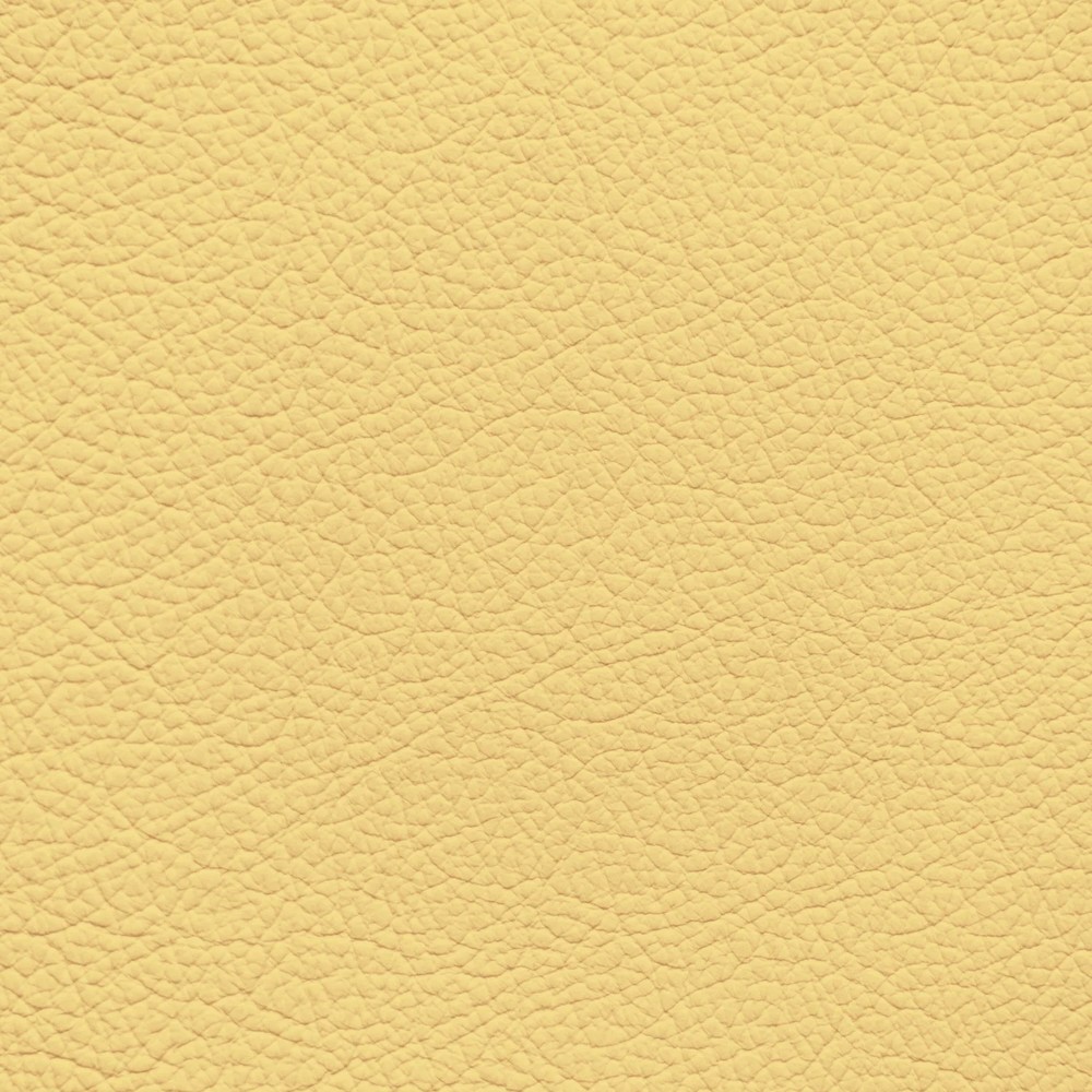 BMW Light Yellow Leather Dye