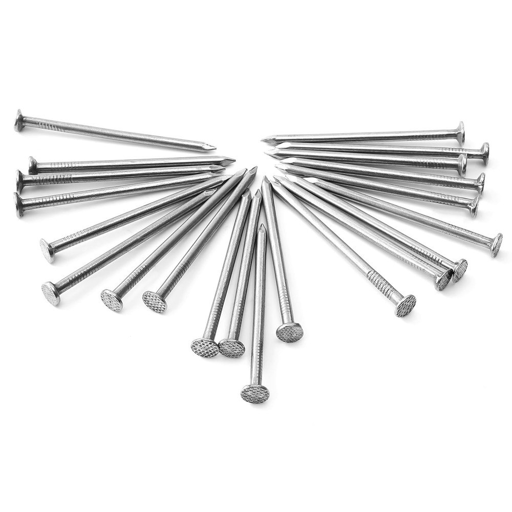 5 Sizes Hardware Nails Assortment Kit, Flat for Picture Wall Silver