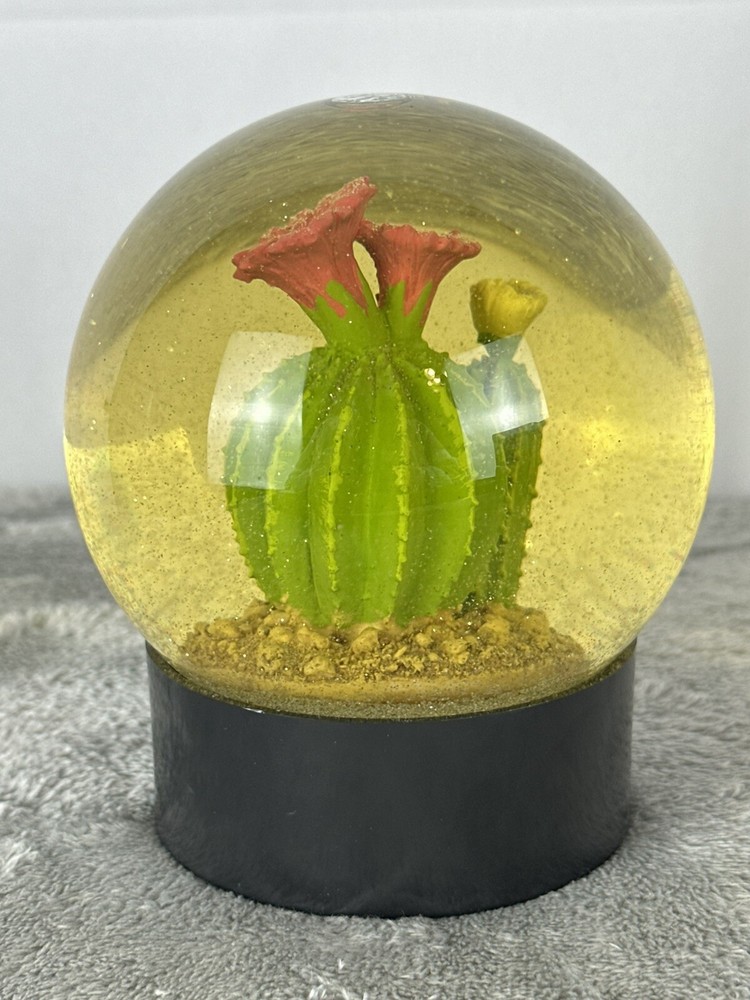 Cactus Glitter Snow globe