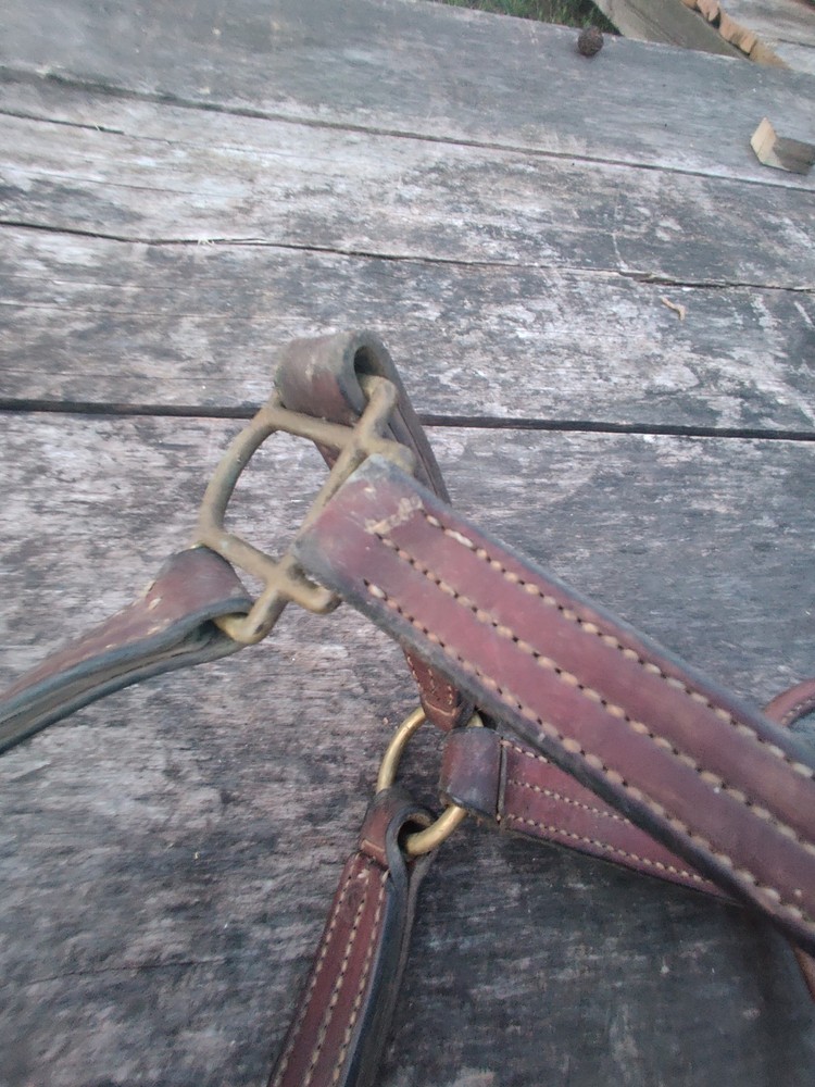 Horse Halter Copper Hardware