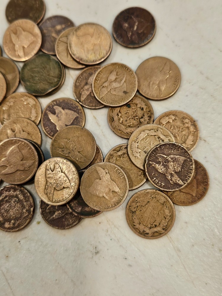 Random pick FLYING EAGLE CENT  1856 - 1858