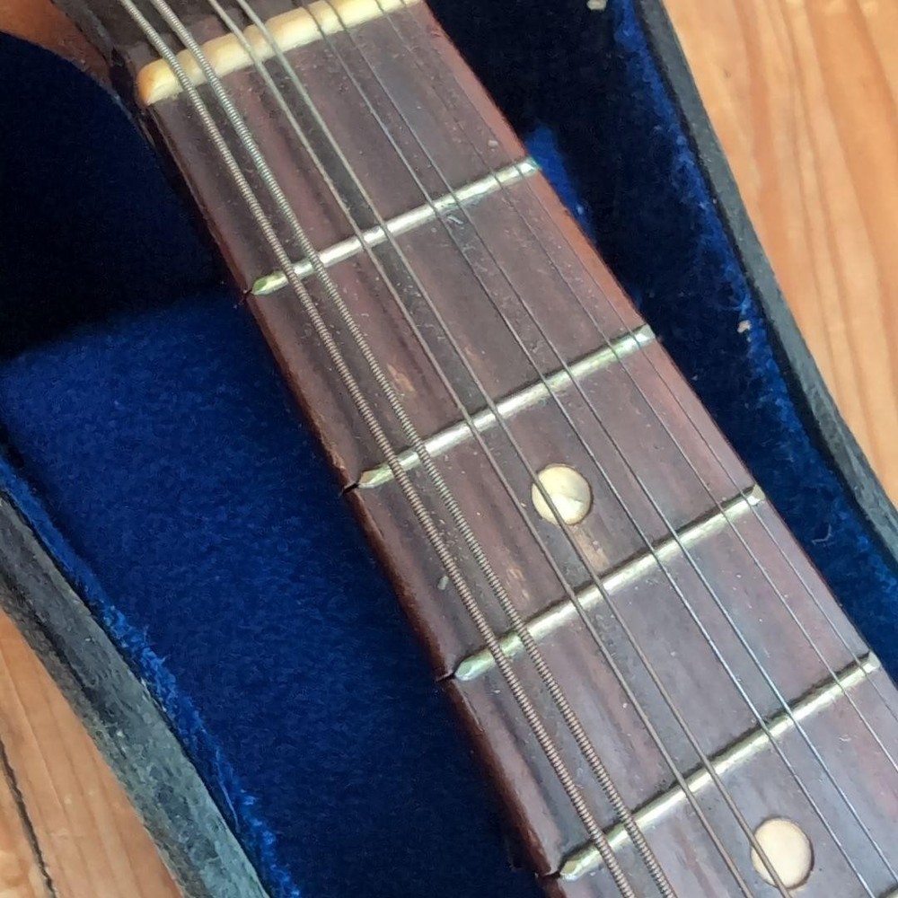 Suzuki Mandolin 1968 no70