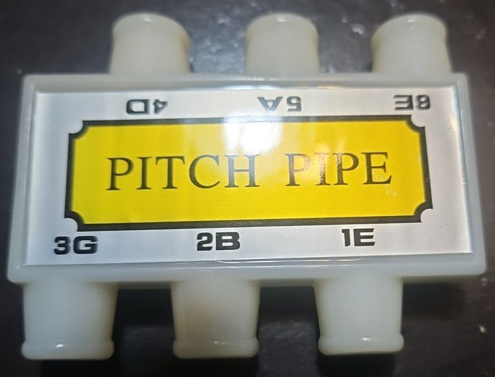 E B G D A E 6 Tones Guitar String Tuning Plastic, Pre-owned Never Used (A1)