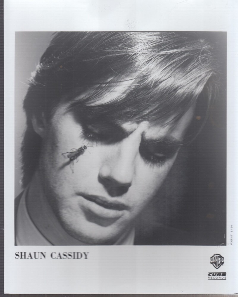 shaun cassidy wasp press kit 1980