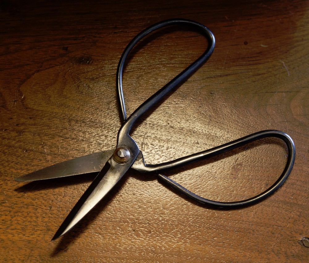 Antique Florist's Scissors