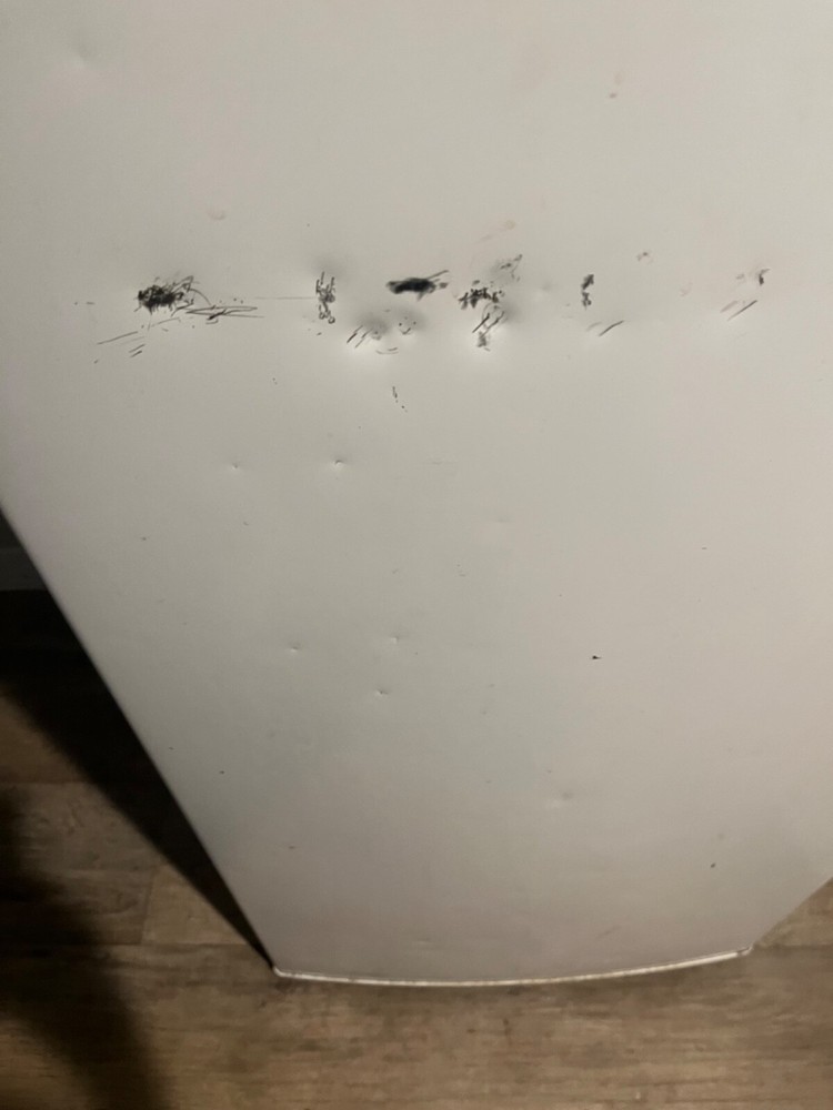 Insignia upright freezer