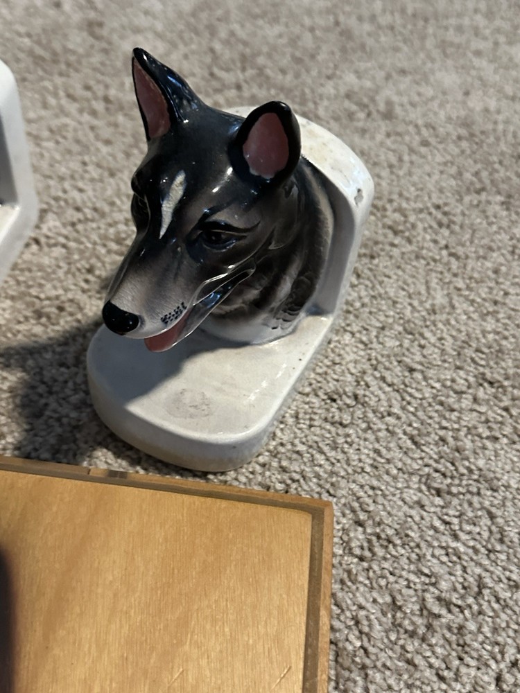 German Shepherds Lot