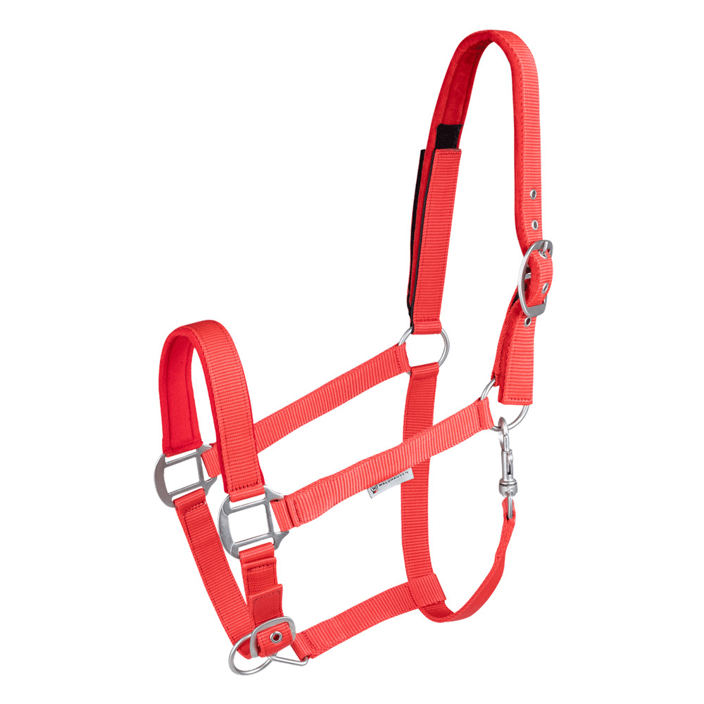 Safety Halter
