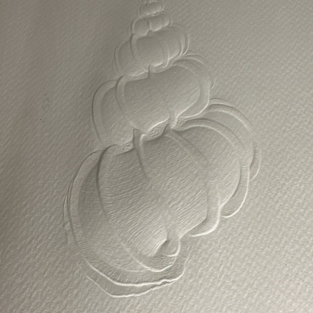 Suzanne Thomas Embossed Shell Artist’s Proof/AP Signed